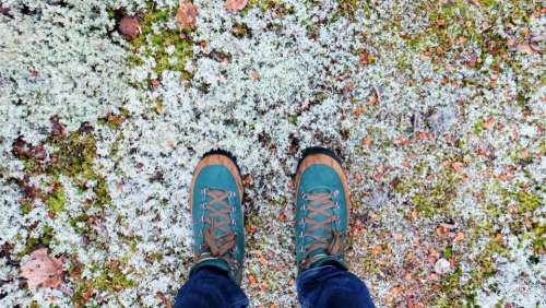 shoes sneakers fashion ground snow