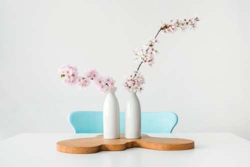 flower vase table chair indoor