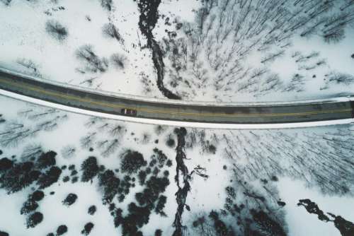 aerial trees snow path road