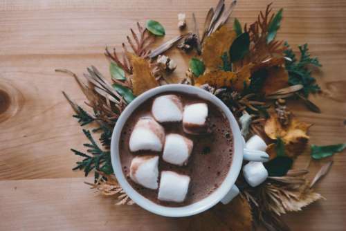 hot chocolate drink marshmallow food