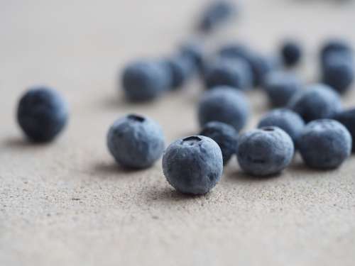 blueberries fruit close-up blue minimal