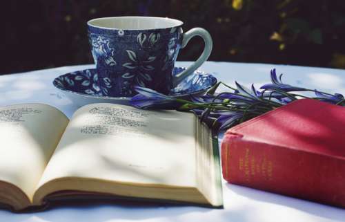 teacup teacups drinks books poetry