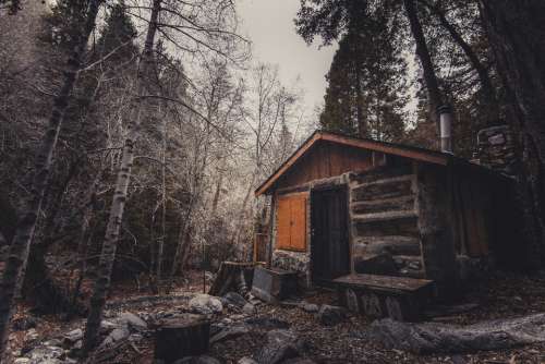 cabin woods abandoned forest cold