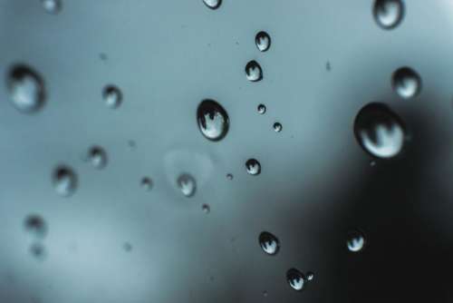 macro rain water droplets weather