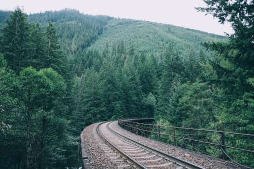 railroad railway train tracks transportation trees