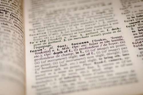 focus words dictionary book study