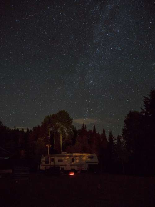 night sky stars trees plants