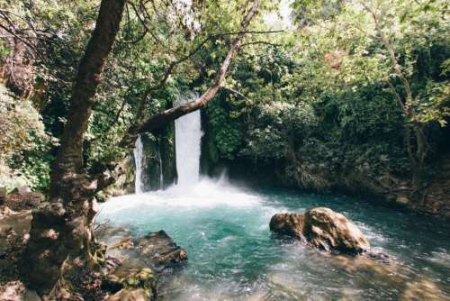 nature water waterfalls lush vegetation