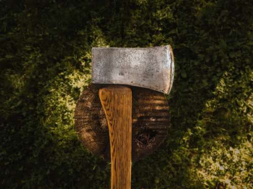 axe tree stump chop wood