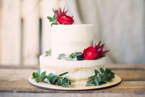 white cake bakery red fruit