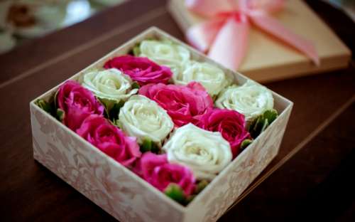 pink white roses box punnet