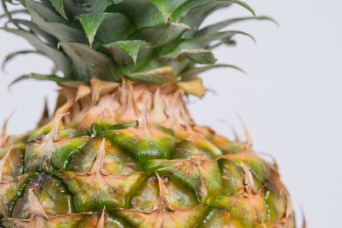 close up fresh pieapple fruit food