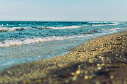 beach sand shore water waves