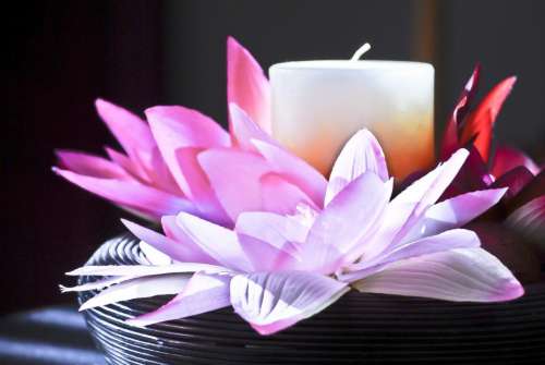 candle flower petals lavender wick