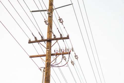 wood pole transmission line electricity
