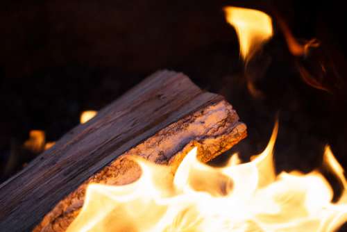 campfire wood closeup flame fire