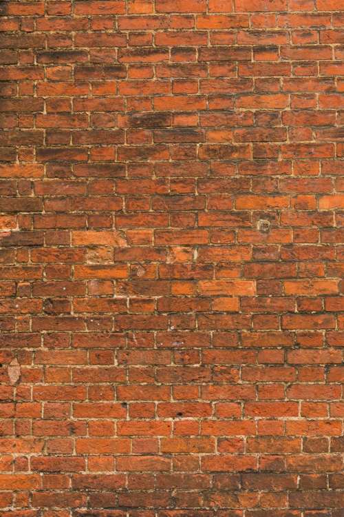 wall bricks grout patterns textures