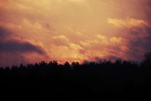 sunrise sky clouds trees silhouette