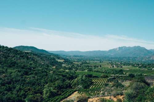 Ojai California vineyards landscape green