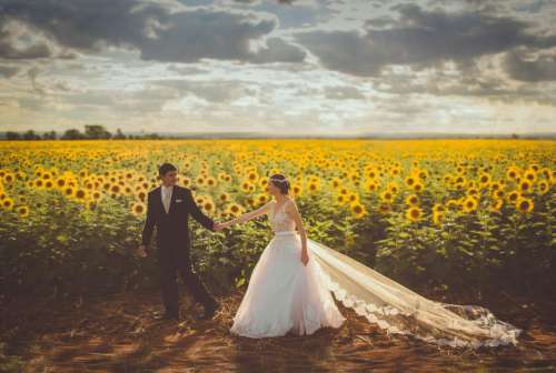 flowers sunflower marriage couple love