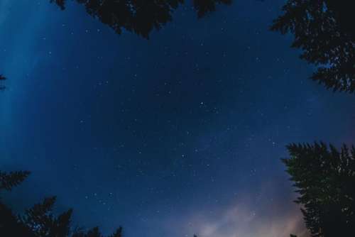 trees nature night stars sky