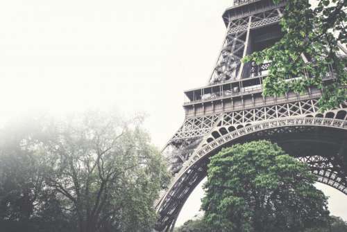 eiffel tower architecture trees leaves nature