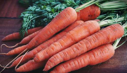 carrot vegetables root vegetable raw food natural food