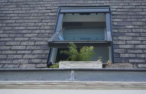 window glass plants roof bricks