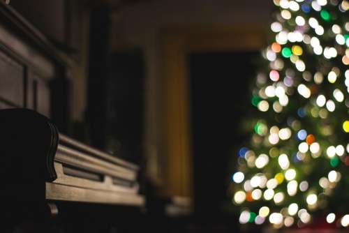 dark room christmas tree lights