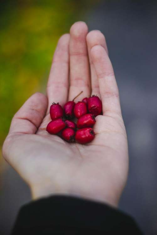 red fruit hand palm blur