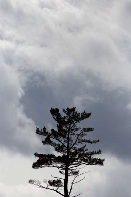 clouds sky monochromatic dramatic landscape