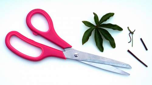 pink scissors arts crafts leaves
