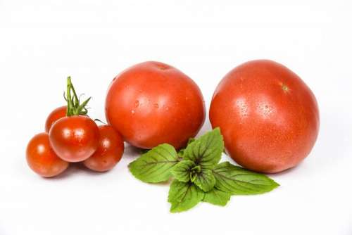 tomato crops fruit red fresh