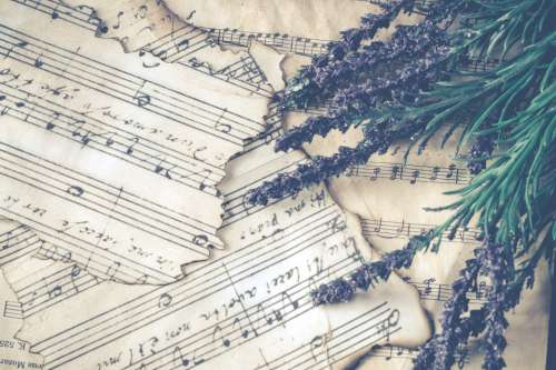 sheet music vintage lavender plant herb