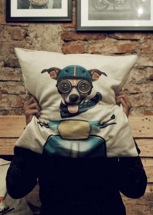 dog cushion man happy goggles