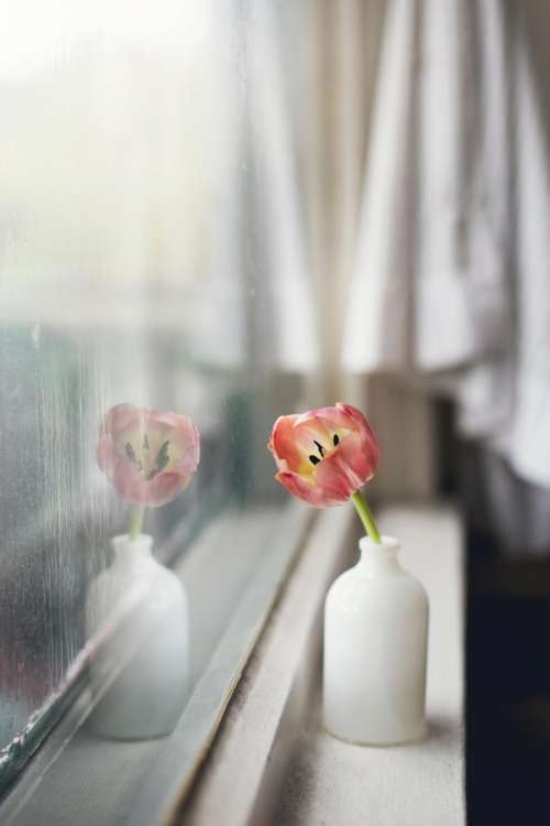 flower vase interior display window