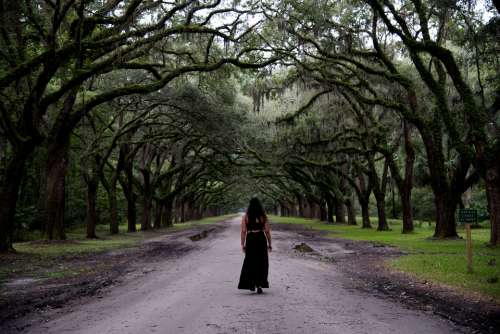 woman black dress forest walk
