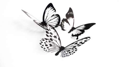 butterflies crafts silhouette art design