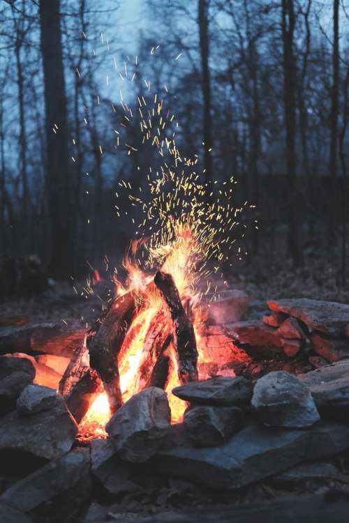nature fire bonfire camp outdoor