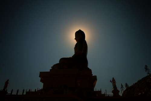 statue buddha light dark night