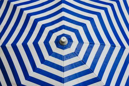 blue white umbrella