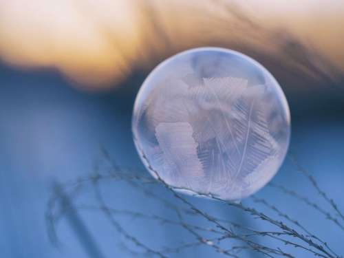 feather dream catcher nature leaf round