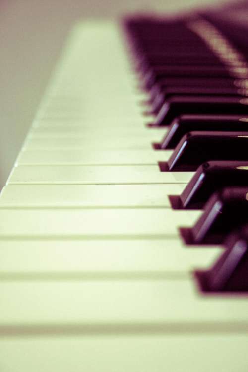 keyboard organ piano music instrument