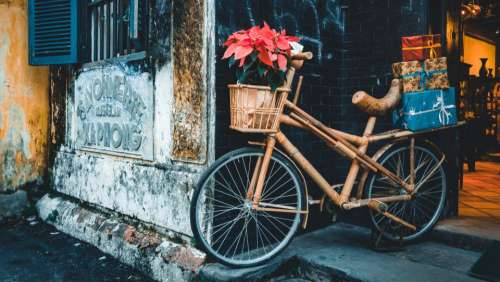 transportation bicycle wood bamboo flowers