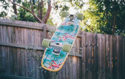 skateboard backyard fence trees wheels