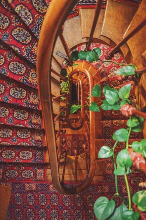 stairs stairway carpet wood spiral