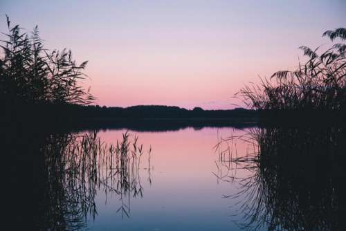 lake water reflection grass plant