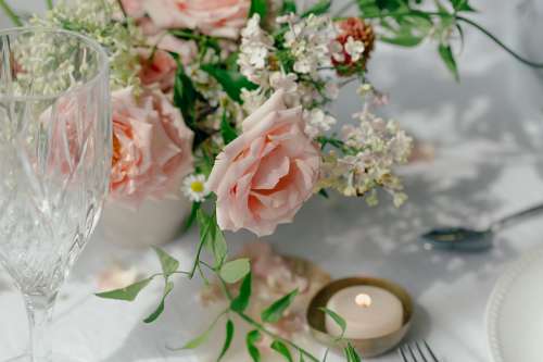 Peach Roses On Table Photo