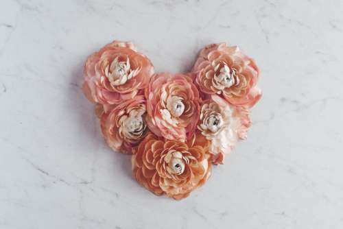 Pink Heart Made Of Flower Petals Photo