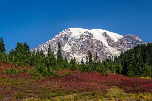 Red Meadow And Snow Capped Mountains Photo
